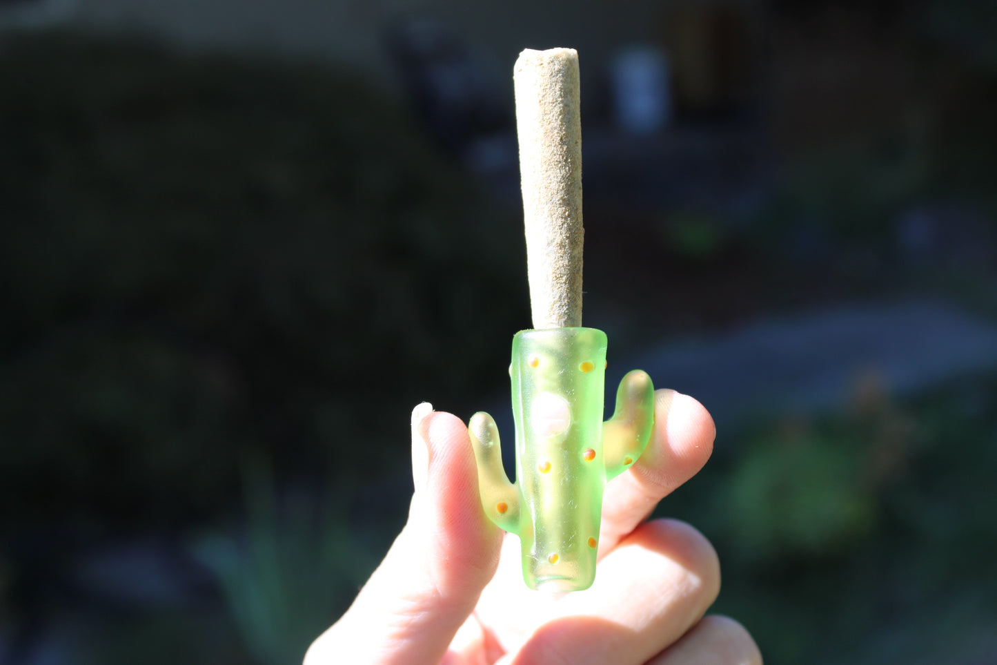 Cactus joint holder