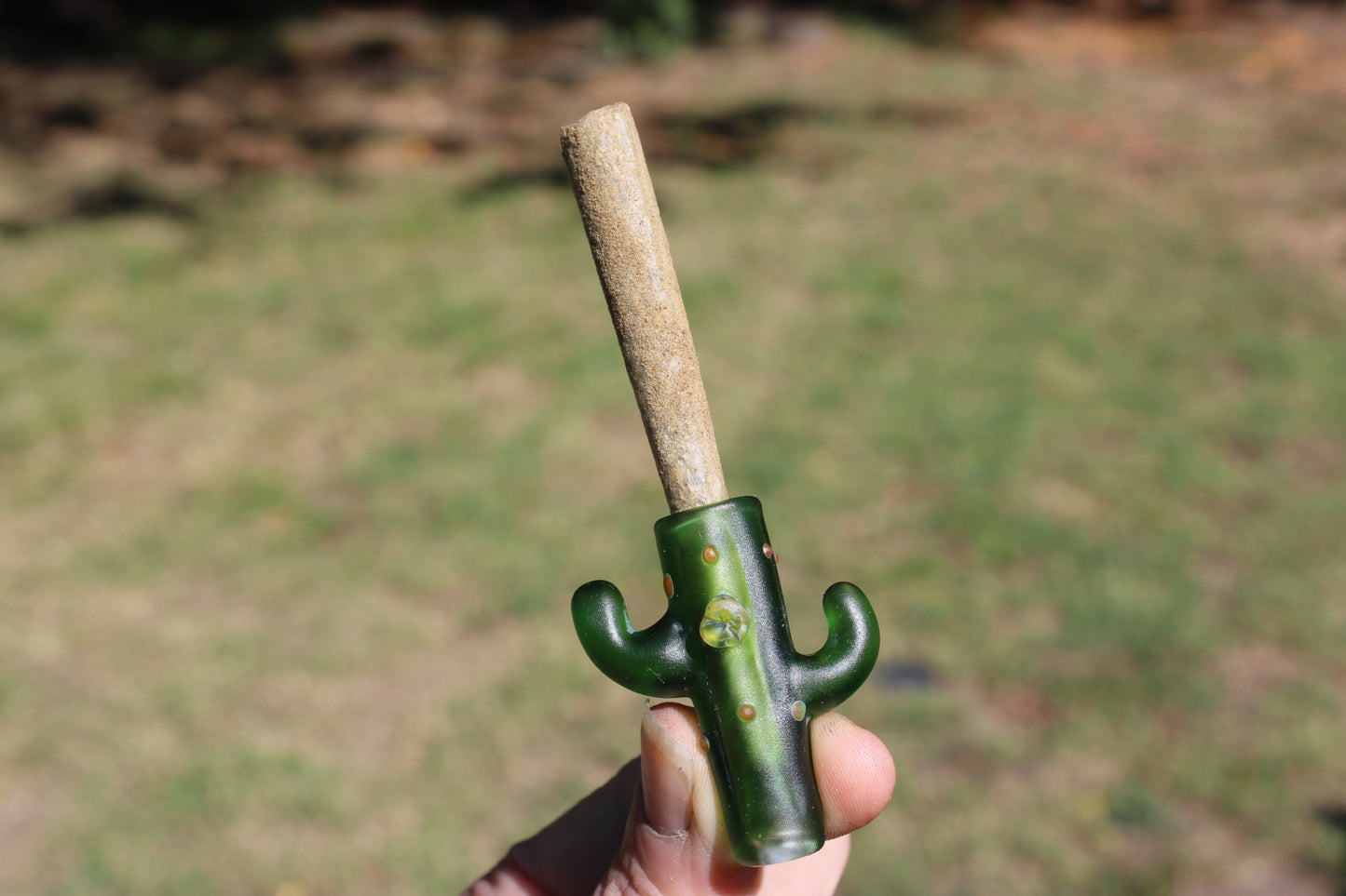 Cactus joint holder