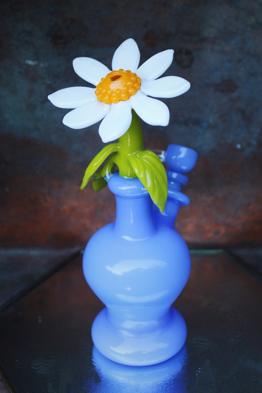 Daisy in periwinkle bud vase