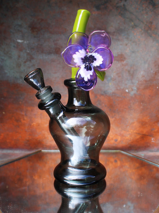 Purple pansy in a smoky grey bud vase mini-bubbler